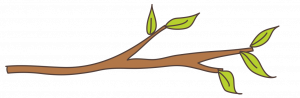 dessin branche et feuille