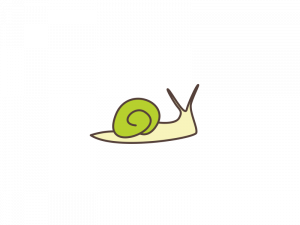 dessin escargot