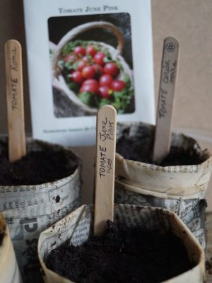 semis tomate papier zero dechet